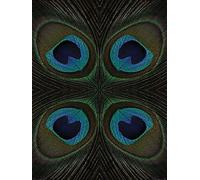 The Art Group "Alyson Fennell Peacock Feather Quartette Paper Art Print, Multi-Colour, 60 x 80 x 1.3 cm