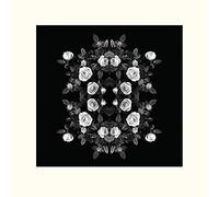 The Art Group Alyson Fennell Tiny Rose Bombastic Mounted Print, Multi-Colour, 40 x 40 x 1.3 cm