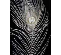 The Art Group "Alyson Fennell White Peacock Feather Paper Art Print, Multi-Colour, 60 x 80 x 1.3 cm