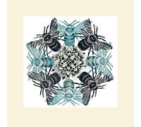The Art Group Amanda Colville Circle of Bees Mounted Print, Multi-Colour, 40 x 40 x 1.3 cm