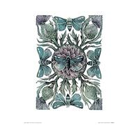 The Art Group Amanda Colville (Moths & Thistles) -Art Print 30 x 40cm, Paper, Multicoloured, 30 x 40 x 1.3 cm