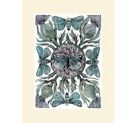 The Art Group Amanda Colville (Moths & Thistles) -Mounted Print 30 x 40cm, Paper, Multicoloured, 30 x 40 x 1.3 cm