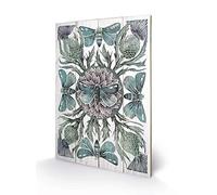 The Art Group Amanda Colville (Moths & Thistles) -Wood Print 40 x 59cm, Multicoloured, 40 x 59 x 1.3 cm