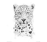 The Art Group "Balazs Solti Lovely Leopard Paper Art Print, Multi-Colour, 40 x 50 x 1.3 cm