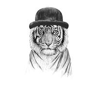 The Art Group Balazs Solti Welcome To The Jungle Canvas Print, Cotton, Multi-Colour, 1.8 x 40 x 50 cm