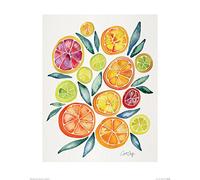 The Art Group "Cat Coquillette Citrus Paper Art Print, Multi-Colour, 40 x 50 x 1.3 cm