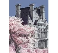 The Art Group "David Clapp Jardin De Tuilieres Infrared Paris Canvas Print, Cotton, Multi-Colour, 1.80 x 30.00 x 40.00 cm