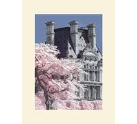 The Art Group David Clapp Jardin de Tuilieres Infrared, Paris Mounted Print, Multi-Colour, 30 x 40 x 1.3 cm