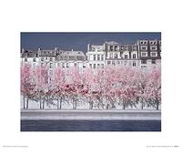 The Art Group David Clapp (River Seine Infrared, Paris) -Art Print 30 x 40cm, Paper, Multicoloured, 30 x 40 x 1.3 cm