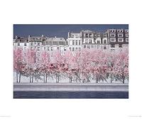 The Art Group David Clapp (River Seine Infrared, Paris) -Art Print 60 x 80cm, Paper, Multicoloured, 60 x 80 x 1.3 cm