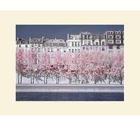 The Art Group David Clapp River Seine Infrared, Paris Mounted Print, Multi-Colour, 30 x 40 x 1.3 cm