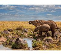 The Art Group "Elephants of Maasai Mara Mario Moreno Canvas Print, Multi-Colour, 60 x 80 x 1.3 cm