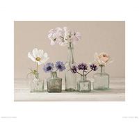 The Art Group "Flower Collection II Ian Winstanley Art Print, Multi-Colour, 40 x 50 x 1.3 cm