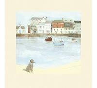 The Art Group Hannah Cole Cornish Sea Dog Mounted Print, Multi-Colour, 40 x 40 x 1.3 cm