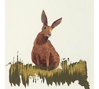 The Art Group Hare Julia Burns Canvas Print, Wood, Multi-Colour, 60 x 60 x 1.3 cm