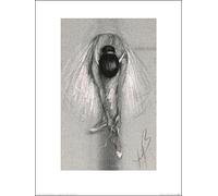 The Art Group "Hazel Bowman Ruban Rose Paper Art Print, Multi-Colour, 30 x 40 x 1.3 cm