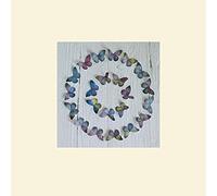 The Art Group Howard Shooter (Butterfly Circle) -Mounted Print 30 x 30cm, Paper, Multicoloured, 30 x 30 x 1.3 cm