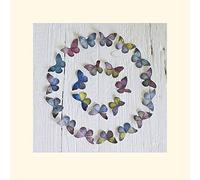 The Art Group Howard Shooter (Butterfly Circle) -Mounted Print 40 x 40cm, Paper, Multicoloured, 40 x 40 x 1.3 cm