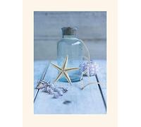 The Art Group Howard Shooter Seaside Treasure Mounted Print, Multi-Colour, 30 x 40 x 1.3 cm