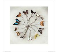 The Art Group "Ian Winstanley Butterfly Harmony Paper Art Print, Multi-Colour, 40 x 40 x 1.3 cm