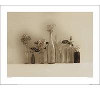 The Art Group Ian Winstanley (Flower Collection) -Art Print 40 x 50cm, Paper, Multicoloured, 40 x 50 x 1.3 cm