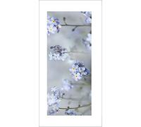 The Art Group "Ian Winstanley Forget-Me-Nots Paper Art Print, Multi-Colour, 50 x 100 x 1.3 cm