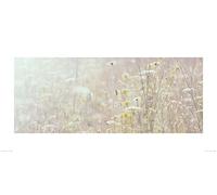 The Art Group "Ian Winstanley Summer Meadow Paper Art Print, Multi-Colour, 50 x 100 x 1.3 cm