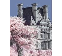 The Art Group "Jardin de Tuilieres Infrared, Paris David Clapp Canvas Print, Multi-Colour, 60 x 80 x 1.3 cm