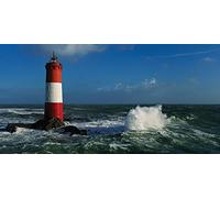 The Art Group "Jean Guichard Grand Cardinaux Canvas Print, Multi-Colour, 50 x 100 x 1.3 cm