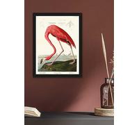 The Art Group John James Audubon American Flamingo Framed Print Natural