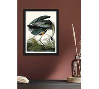 The Art Group John James Audubon Great Blue Heron Framed Print Blue