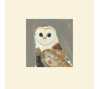 The Art Group Julia Burns (Barn Owl) -Mounted Print 30 x 30cm, Paper, Multicoloured, 30 x 30 x 1.3 cm