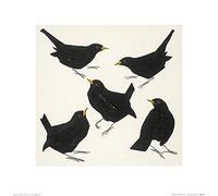 The Art Group Julia Burns (Blackbirds) -Art Print 40 x 40cm, Paper, Multicoloured, 40 x 40 x 1.3 cm