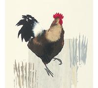 The Art Group Julia Burns (Cockerel) -Canvas Print 30 x 30cm, Wood, Multicolour, 30 x 30 x 1.3 cm