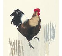 The Art Group Julia Burns (Cockerel) -Canvas Print 40 x 40cm, Wood, Multicolour, 40 x 40 x 1.3 cm
