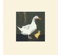 The Art Group Julia Burns (Duck and Duckling) -Mounted Print 30 x 30cm, Paper, Multi-Colour, 30 x 30 x 1.3 cm