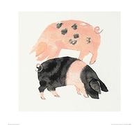 The Art Group Julia Burns (Gloucester Old Spot and Saddleback Pigs) -Art Print 60 x 60cm, Paper, Multicoloured, 60 x 60 x 1.3 cm