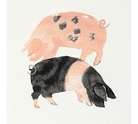 The Art Group "Julia Burns Gloucester Old Spot and Saddleback Pigs Canvas Print, Cotton, Multi-Colour, 1.80 x 30.00 x 30.00 cm