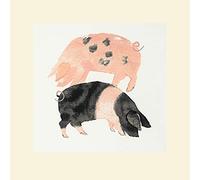 The Art Group Julia Burns (Gloucester Old Spot and Saddleback Pigs) -Mounted Print 40 x 40cm, Paper, Multi-Colour, 40 x 40 x 1.3 cm