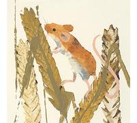 The Art Group Julia Burns (Harvest Mouse) -Canvas Print 60 x 60cm, Wood, Multicolour, 60 x 60 x 1.3 cm