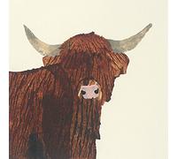 The Art Group Julia Burns (Highland Cow) -Canvas Print 30 x 30cm, Wood, Multicolour, 30 x 30 x 1.3 cm