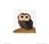 The Art Group Julia Burns (Little Owl) -Art Print 30 x 30cm, Paper, Multicoloured, 30 x 30 x 1.3 cm