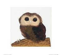The Art Group Julia Burns (Little Owl) -Art Print 40 x 40cm, Paper, Multicoloured, 40 x 40 x 1.3 cm