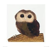 The Art Group Julia Burns (Little Owl) -Art Print 60 x 60cm, Paper, Multicoloured, 60 x 60 x 1.3 cm