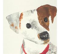 The Art Group Julia Burns (Mischief) -Canvas Print 40 x 40cm, Wood, Multicolour, 40 x 40 x 1.3 cm