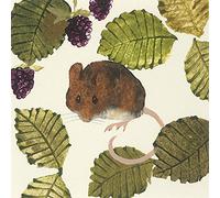 The Art Group Julia Burns (Mouse) -Canvas Print 30 x 30cm, Wood, Multicolour, 30 x 30 x 1.3 cm