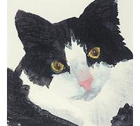 The Art Group Julia Burns (Nosey) -Canvas Print 30 x 30cm, Wood, Multicolour, 30 x 30 x 1.3 cm