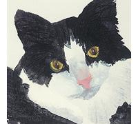 The Art Group Julia Burns (Nosey) -Canvas Print 40 x 40cm, Wood, Multicolour, 40 x 40 x 1.3 cm