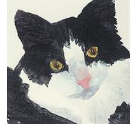 The Art Group Julia Burns (Nosey) -Canvas Print 60 x 60cm, Wood, Multicolour, 60 x 60 x 1.3 cm