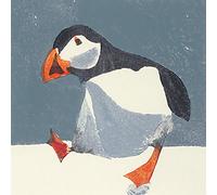 The Art Group Julia Burns (Puffin) -Canvas Print 30 x 30cm, Wood, Multicolour, 30 x 30 x 1.3 cm